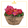 SC-PL-56110 | Grabschale | Hilgert Grabsteine