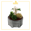 SC-PL-56500-alu | Grabschale | Hilgert Grabsteine