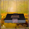 UR-DA-UR42 | Hilgert Grabsteine | Urnengrabstein aus Granit